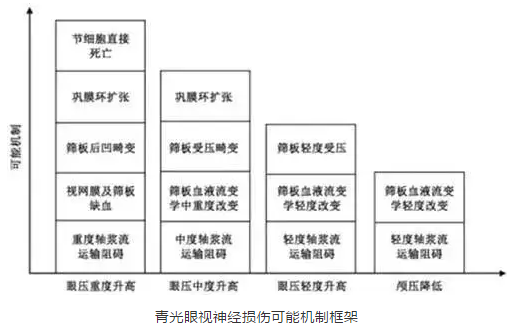 8868体育网站登录入口学术课堂：眼颅压力梯度在青光眼视神经损伤机制中作用2.png