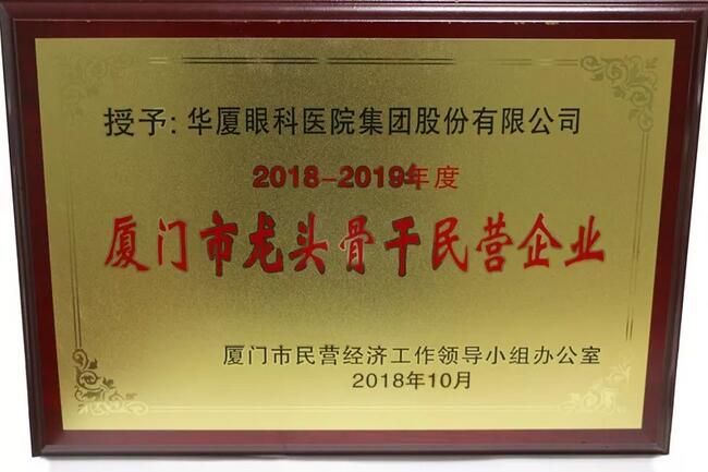 8868体育网站登录入口荣膺“厦门市2018-2019年度龙头骨干民营企业”2.jpg