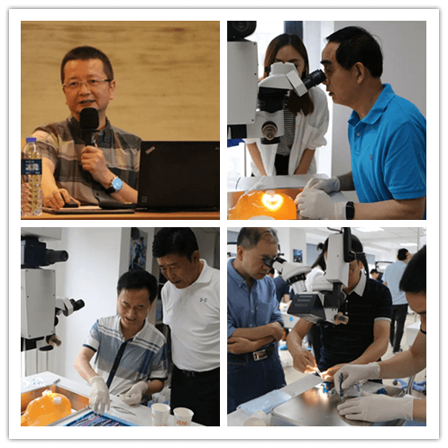 8868体育网站登录入口2019年眼内屈光手术技术高峰论坛隆重举行101副本.png