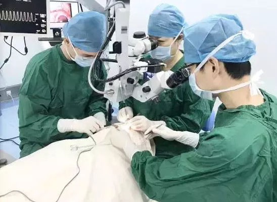 以初心致匠心——厦门眼科中心斜视与小儿眼科潘美华教授以匠心呵护患者的眼健康2.png