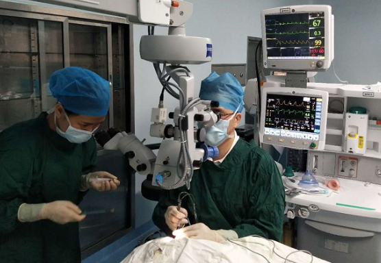 厦门眼科中心白内障专科毛祖红主任迎难而上：为痴呆老人做白内障手术1.png